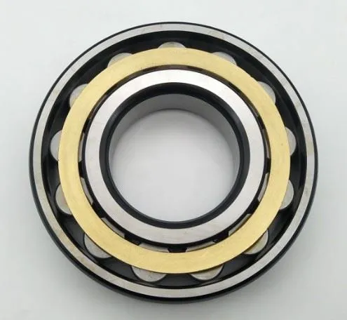 Valčekové ložisko RN307 C3 C4